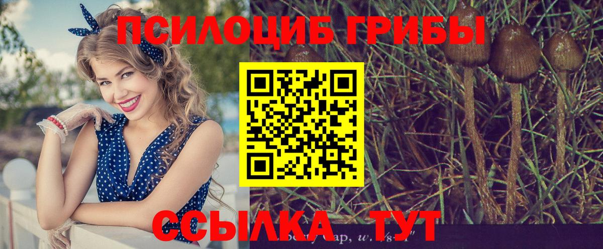 Галлюциногенные грибы мицелий  Вход с VPN  Петропавловск-Камчатский 